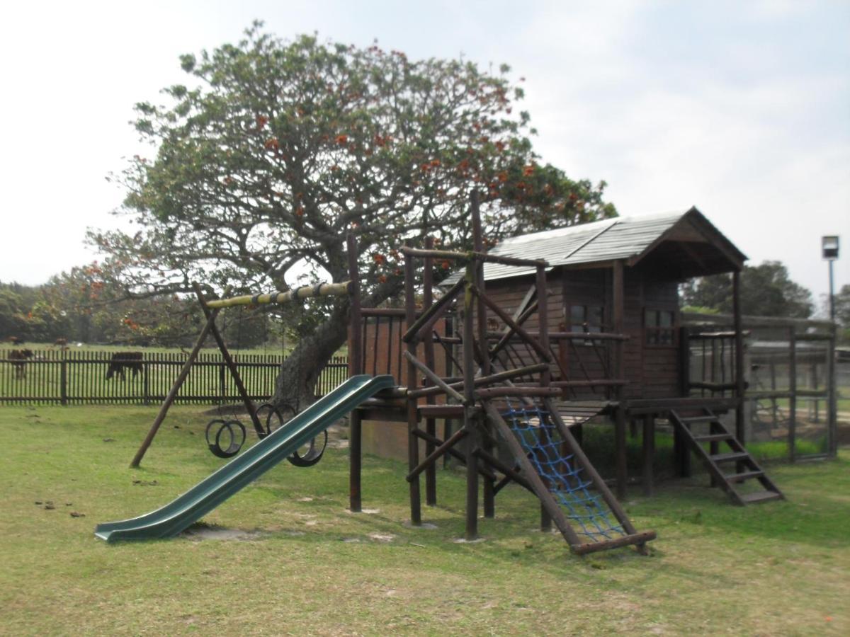 Kareedouw Soloko Game Farm 빌라 외부 사진